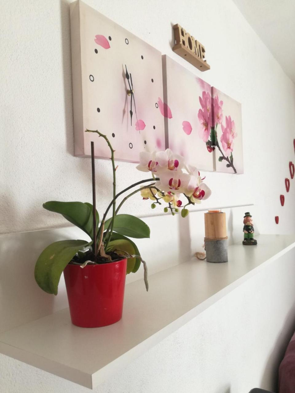 Vila Kuca Za Odmor Delfina Slivnica Exteriér fotografie